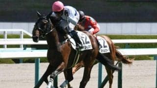 【マーメイドS予想】狙うは人気薄の4歳軽ハンデ＆前走上り33秒台！ 今年条件ピッタリ当てはまる馬はどこに？