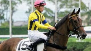 【マーメイドS】アンドラステ陣営「なんとかタイトルを」/ねぇさんのトレセン密着