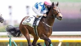 【東京5R新馬戦結果】2番人気キミワクイーンが初陣飾る