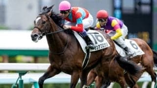 【札幌5R新馬戦結果】武豊グランアプロウソが押し切りV