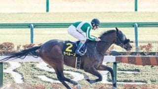 【ユニコーンS・馬体重】ラペルーズは518kg(-2)、ルーチェドーロは500kg(+6)