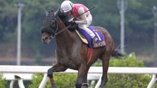 【高知優駿結果】地元のハルノインパクトが完勝　黒潮皐月賞に続く2冠達成