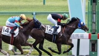 【東京7R】ルコルセールがダートで2連勝