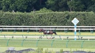 サウジダービーを制したピンクカメハメハが急性心不全で死す