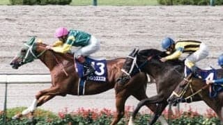 ウマ娘で「復活」を叶えたサイレンススズカは、史上最強の逃げ馬だった