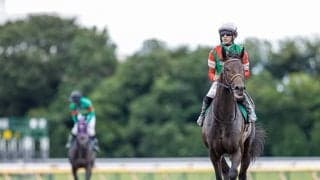 【ユニコーンS】売上は55億2748万3500円で対前年比91%超にとどまる