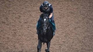 キラービューティ半弟キラーアビリティがルメール騎手でデビュー/関西馬メイクデビュー情報