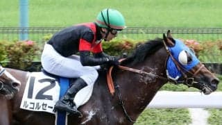 【東京7R】石橋脩「本当に強い競馬」ルコルセールが2連勝