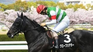 【東京ジャンプS想定騎手】グローブシアターは高田潤騎手、フォイヤーヴェルクは白浜雄造騎手