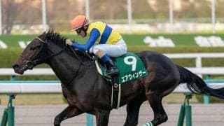 【先週のJRA抹消馬】チャレンジC覇者のエアウィンザー、ダイヤモンドS覇者のグロンディオーズなど