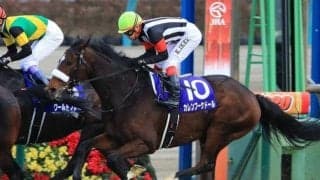 【宝塚記念展望】上半期の総決算、あの馬の戴冠を期待したい