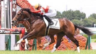 【新馬/阪神5R】断然人気 ダノンスコーピオンがデビューV