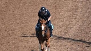 スリーパーダなど、先週のゲート試験/栗東トレセンニュース