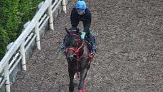 ワールドリバイバルなど、先週の入厩情報/栗東トレセンニュース