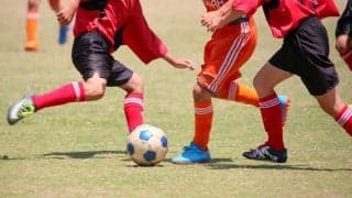 「子どもが食べない」4つの野菜の活用法　好き嫌いする我が子に伝えたい食の大切さ