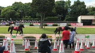 「高知で拍手が起こるなんて初めてかも」コロナ禍で行われた高知優駿のファンファーレ