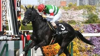 【東京ジャンプS予想オッズ】単勝1.7倍でグローブシアターに支持が集まる
