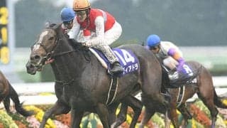 世界で活躍したディアドラが初仔を受胎！ 交配相手は英国生まれの“トップサイヤー”