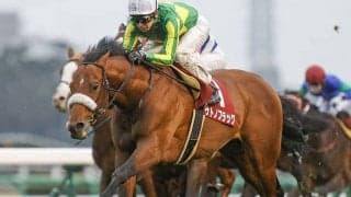 【JRA】サトノフラッグが全治6ヶ月以上の骨折、昨年の弥生賞ディープインパクト記念覇者