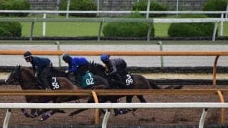 ジュンブルースカイ、ラジオNIKKEI賞1週前追い切り速報/栗東トレセンニュース