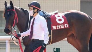 【九州1歳市場】マクフィ産駒『テラノイロハの2020』が歴代最高額600万円で落札