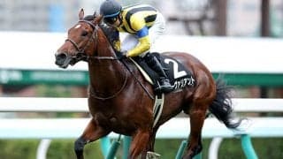 【JRA】大竹厩舎から手塚厩舎への転厩馬一覧　ブラストワンピース、ザダルなど58頭