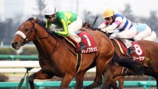 サトノフラッグが故障