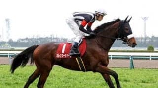 宝塚記念は第一に牝馬狙い。ＧＩでは「力不足」とされる伏兵馬にもご用心