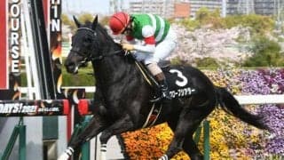 【東京ジャンプS出走馬・騎手確定】グローブシアター＆高田潤、スマートアペックス＆中村将之など14頭