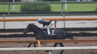【宝塚記念 調教後馬体重】クロノジェネシスは482kg、レイパパレは442kg