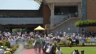 【JRA】夏季競馬において装鞍所集合時刻を一部変更