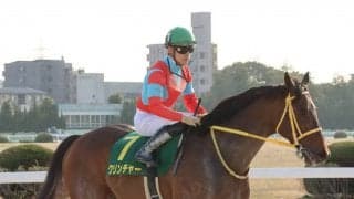 【帝王賞】JRA出走予定馬