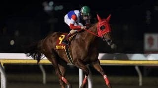 【川崎・スパーキングレディーC】地方所属選定馬発表！ 昨年のクイーン賞を制したサルサディオーネら10頭が選定