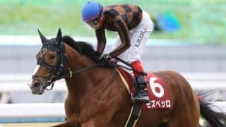 宝塚記念は波乱ムード。穴党記者が厳選した３頭で夏のボーナスをつかめ