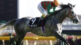 【JRA】トラストが競走馬登録抹消、乗馬に　16年札幌2歳S覇者、障害でも4勝あげる