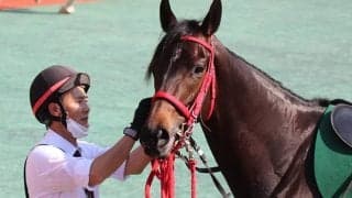 【CBC賞想定】熊本産の3歳牝馬ヨカヨカ、モーリス産駒の3歳牡馬ピクシーナイトなど12頭
