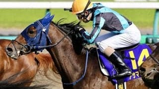 【ラジオNIKKEI賞想定】スプリングS2着アサマノイタズラ、アーリントンC2着リッケンバッカーなど17頭