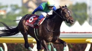 新種牡馬ヴァンキッシュラン産駒がJRA初出走　キタサンブラック、イスラボニータ産駒などもJRA初勝利目指す