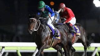 【大井・JDD】南関東の選定馬発表　トランセンデンス、ギガキング、ブライトフラッグなど