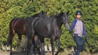 【宝塚記念】クロノジェネシス斉藤師「何も心配することはない」/ねぇさんのトレセン密着