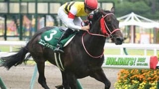 【宝塚記念予想】「ガンガン行こうぜ」の作戦で、グランプリの主役に躍り出る伏兵1頭/JRA重賞レース展望