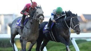 【帝王賞】オメガパフューム、チュウワウィザード、カジノフォンテンなど14頭が選定馬に