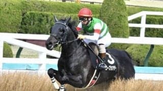 【本日の注目ポイント】東京で東京ジャンプS、阪神でソダシの全妹デビューなど