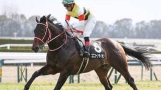 宝塚記念は２強の一騎打ちが濃厚も、素質開花の新勢力に一角崩しの期待