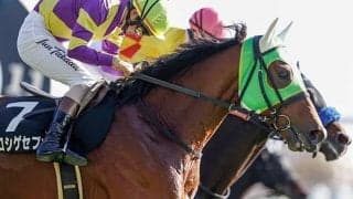 【東京ジャンプS予想】グローブシアターの陰に隠れた東京コース巧者にチャンス到来！