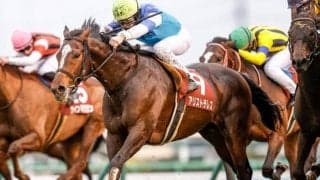 【宝塚記念】アリストテレス音無師「2200で真価が問われるが、やってくれると思っている」/ねぇさんのトレセン密着