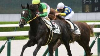 【阪神5R新馬戦結果】8番人気タガノフィナーレが逃げ切りV