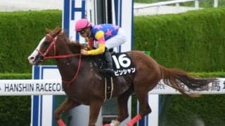 【天保山S結果】ピンシャンが逃げ切り2連勝