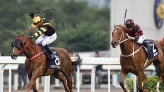 【海外競馬】香港のタイムワープとグロリアスフォーエバーが引退　全兄弟でともに香港C制覇