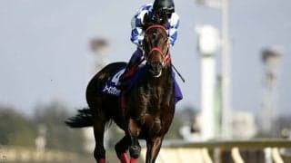 【海外競馬】シーキングザダイヤ産駒がチリで2歳牝馬G1制覇/アルトゥロ・ライオン・ペーニャ賞結果